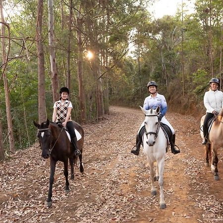 Haras Morena Resort Juiz de Fora Bagian luar foto
